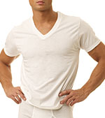 Fruit of the Loom 3-Pack Big Man White V-Neck T-Shirt